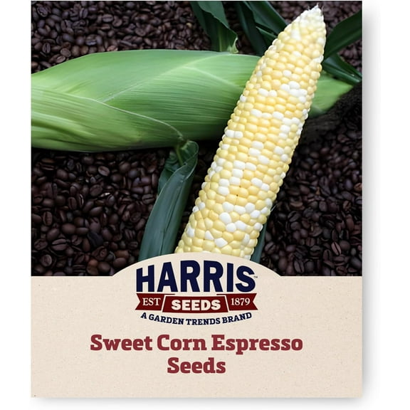 Harris Seeds - Sweet Corn Seeds - Treated Espresso F1 Variety - Bicolor Kernels - 1,000 Seeds