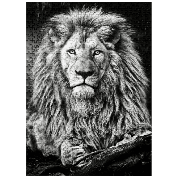 MyPuzzle - Black And White Image Of Majestic Lion - Premium 500 Piece Jigsaw Puzzle for Adults