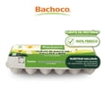 thumbnail image 1 of Huevo blanco gallina libre Bachoco 12 pzas, 1 of 7