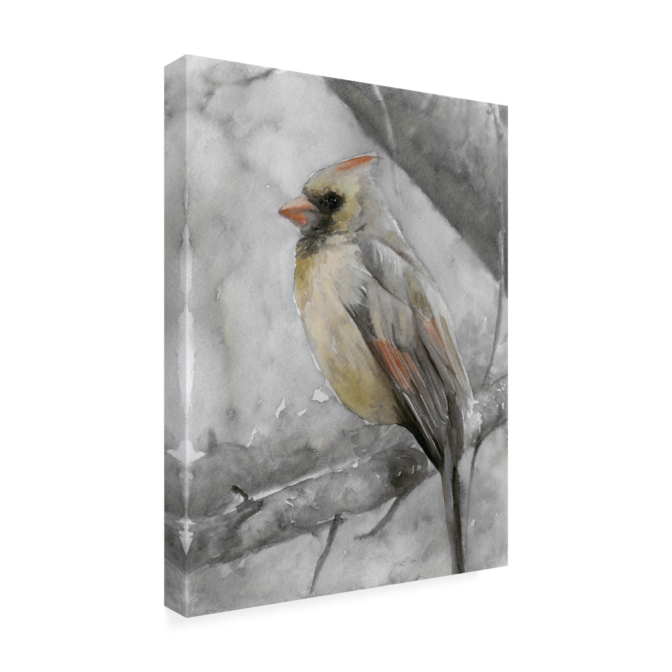 Canvas Wall Art - Stellar Design Studio 'Branched II' Wall Art for Living Room, Bedroom, or Office Décor by Trademark Fine Art - 24 x 32 Inches