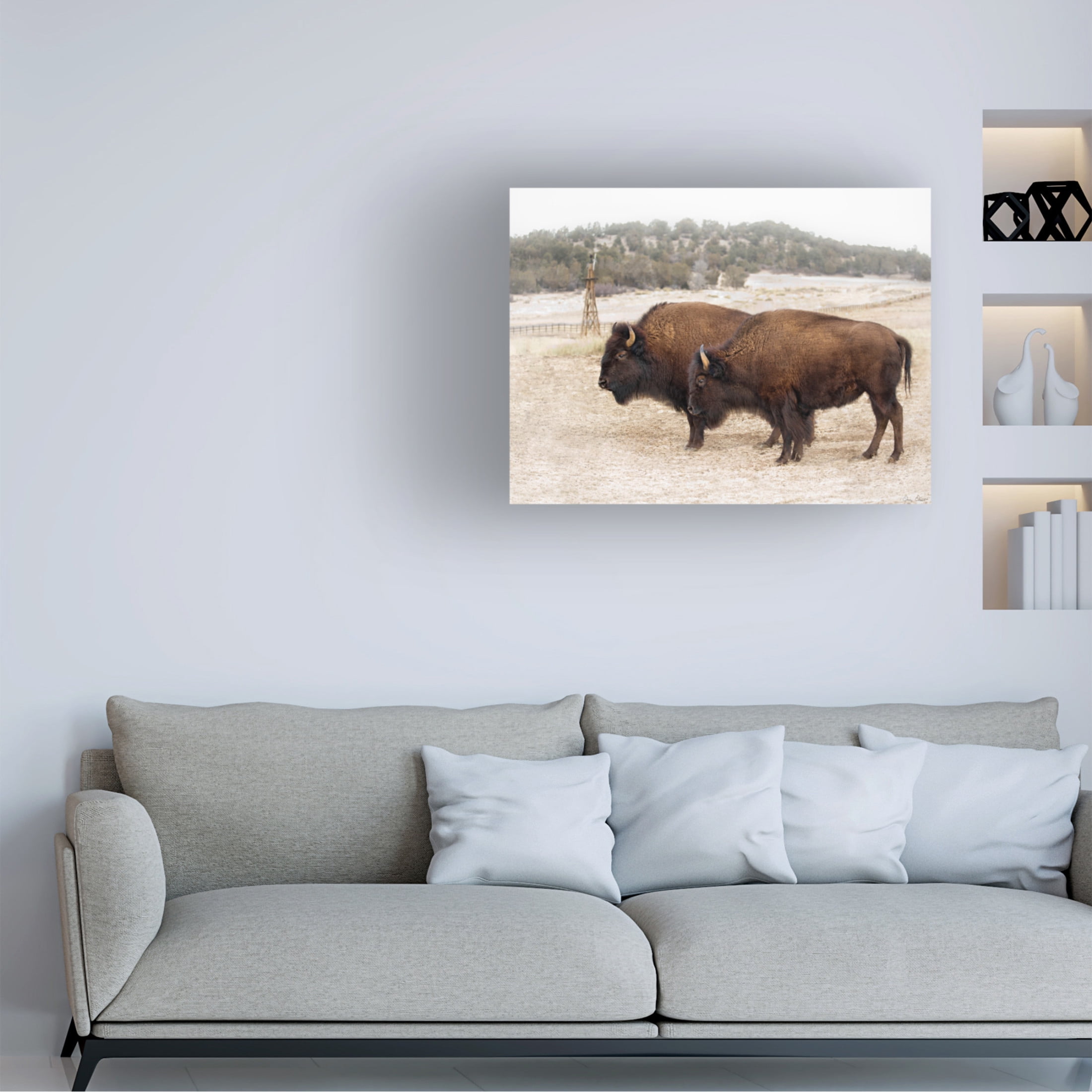 Trademark Fine Art David Drost Twin Buffalo Canvas Wall Art
