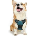 thumbnail image 1 of rabbitgoo Dog Harness  No-Pull Pet Harness with 2 Leash Clips  Adjustable Soft Padded Dog Vest  Reflective No-Choke Pet Oxford Vest with Easy Control Handle for Small Dogs  Beige  XS, 1 of 9