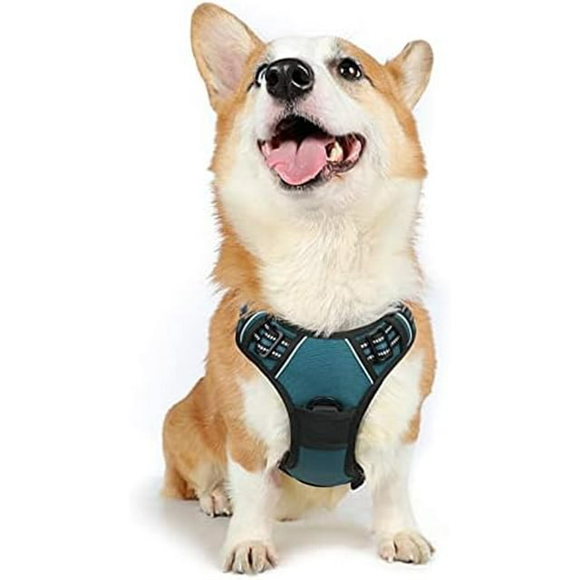 rabbitgoo No-Pull Pet Harness with 2 Leash Clips Adjustable Soft Padded Reflective No-Choke Pet Oxford Vest with Easy Control Handle for Large Dogs Pink L