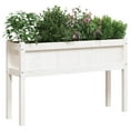 thumbnail image 6 of vidaXL Garden Planter with Legs White 43.3" x 12.2" x 27.6" Solid Wood Pine, 6 of 71