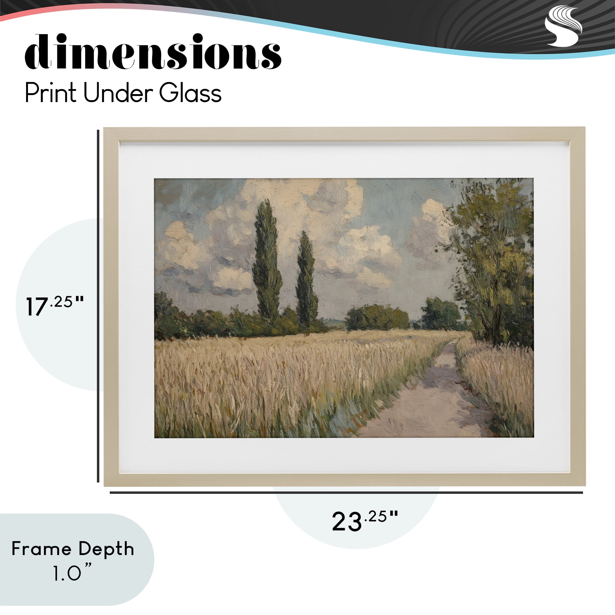 Stupell Industries Summer Path Between Poplars Birch Framed Print Under Glass, design by Petal Prints Design