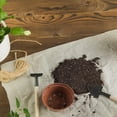 thumbnail image 3 of Christmas Cactus Potting Soil Mix 1qt Ideal for Succulents Cacti and Other Indoor Potted Plantings, 3 of 4