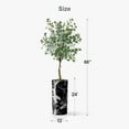 thumbnail image 5 of Artificial Tree in Modern Marble Effect Planter, Fake Eucalyptus Silk Tree for Indoor and Outdoor Home Decoration - 66" Overall Tall (Plant Pot Plus Tree), 5 of 5