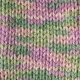 thumbnail image 4 of Caron Acrylic Simply Soft Paints Yarn (141 g/5 oz), Rose Garden, 4 of 5