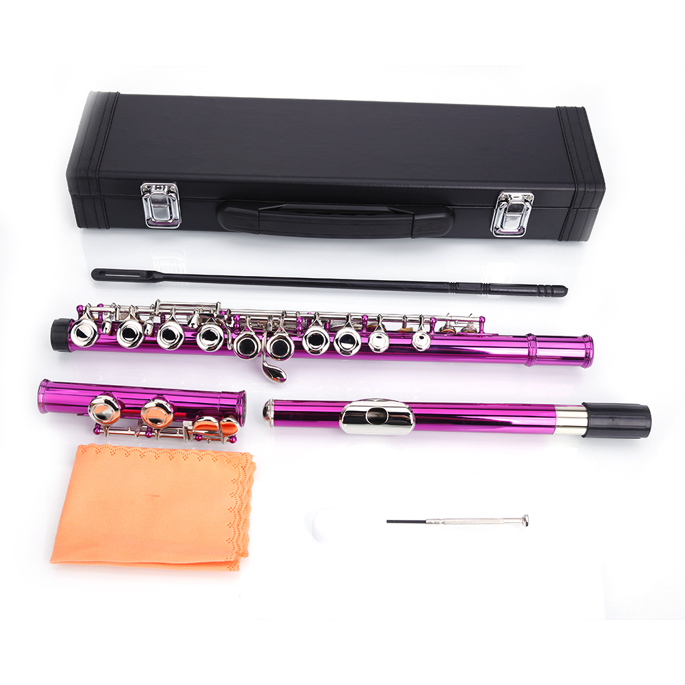 Baoblaze Cupronickel 16 Closed Hole Flute C Key Musical Instrument with Cleaning Cloth Padded Box for Beginner Kids Musical Gift as described Pink