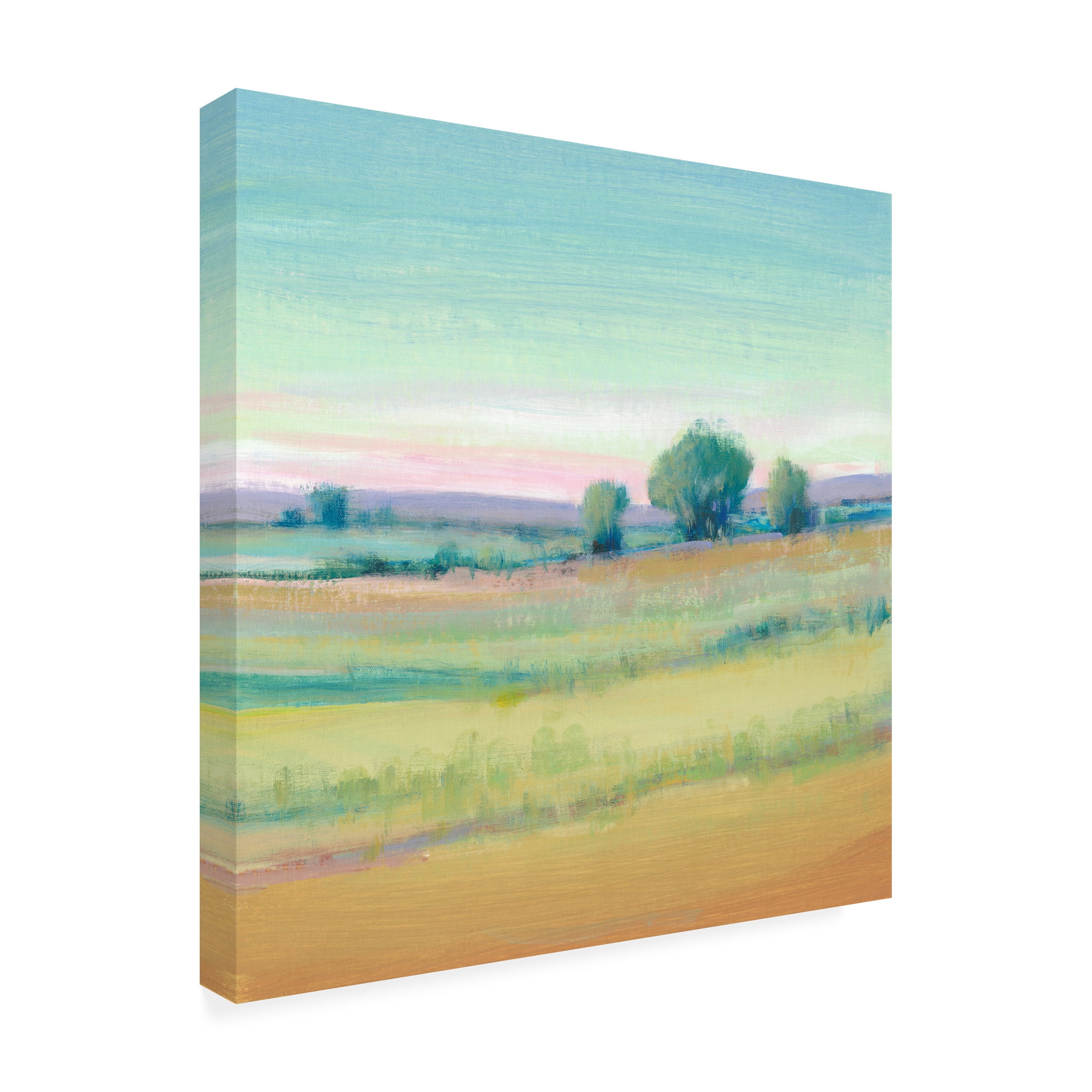 Tim O'Toole 'Vivid Landscape VI' Canvas Art