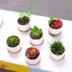 thumbnail image 4 of Injueey 6x Macetas De Porcelana Blancas Simples Y Duraderas Blancas Para Varias Plantas Delicadas Y Suaves Para Un Mejor Manejo Jardín y Patio Maceta de porcelana blanca, 4 of 6