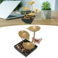 thumbnail image 4 of Indoor Water Fountain, Convenient Operation Tabletop Fountain Lightweight  For Office EU Plug,UK Plug,AU Plug,US Plug, 4 of 8