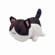 thumbnail image 1 of Plush Surprise Cat Mermaid Cat Plush Feature 20cm, 1 of 5