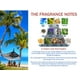 thumbnail image 5 of Perfume Perry Ellis 360° para hombre, 360°, rojo, 360°, muy azul, 360°, negro, 5 of 7