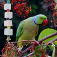 thumbnail image 3 of EeaseMX 2 juguetes masticables para loros, juguetes molares minerales para loros, cuerda colgante, juguete para mascotas, color aleatorio, 3 of 7