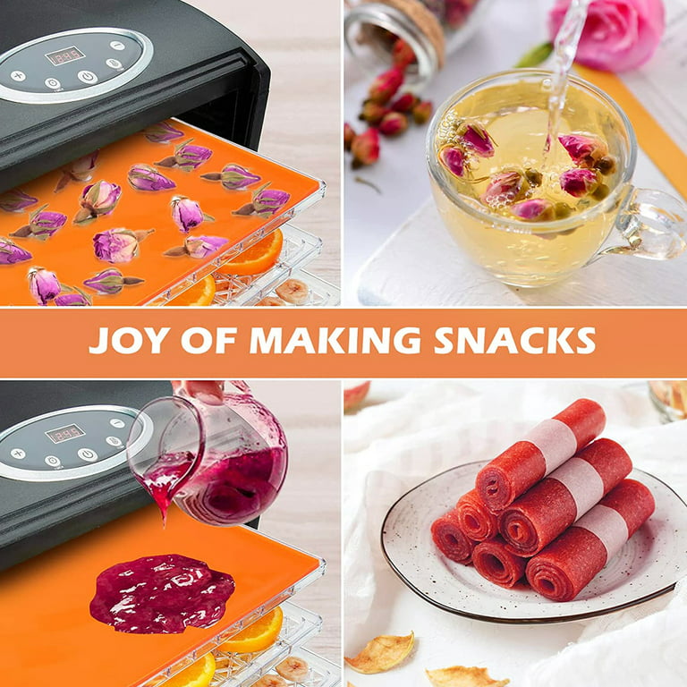 Protoiya 4 Silicone Dehydrator Sheets,Dehydrator Mats with Edge for Fruit  Leather Liquid Fruits Meat Vegetables Herbs,Non-stick Dehydrator Trays with  Silicone Scraper Compatible 