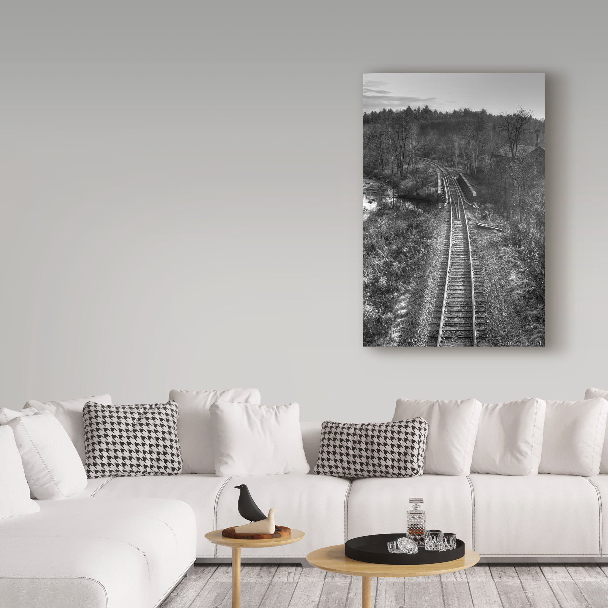 Trademark Fine Art 'Lonely Tracks Grayscale' Canvas Art by Ian Tornquist