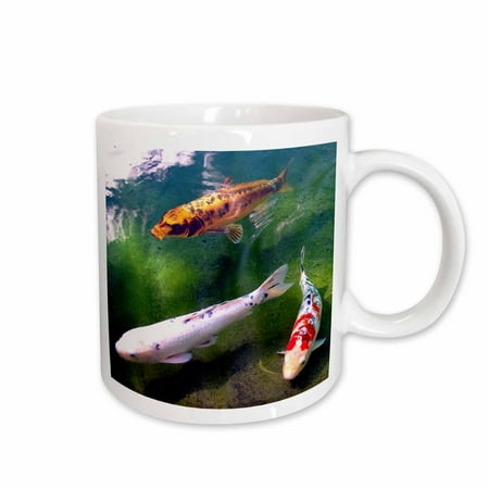 

3dRose Chinese Koi Carp Fish Ceramic Mug 11-ounce