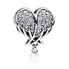 Shimmering Angel Wings