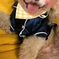 thumbnail image 3 of Dog Pajamas Clothes Silk Soft Shirts Loungewear Puppy Pjs for Small Yorkie Bulldog Cats, 3 of 5