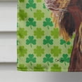 thumbnail image 4 of Boykin Spaniel St Patrick's Irish Flag Canvas House Size, 4 of 4