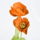thumbnail image 4 of Elegante decoración de flores artificiales para el hogar, la sala de estar y la boda - naranja y amarillo, 4 of 7