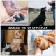 thumbnail image 2 of GOOHOCHY 2pcs Squeaky Dog Toys Puppy Dentición Juguetes para masticar Juguetes interactivos de peluche de peluche, 2 of 7