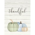 thumbnail image 2 of Allen, Kimberly 19x24 Black Ornate Wood Framed with Double Matting Museum Art Print Titled - Grateful Pumpkins 2, 2 of 4