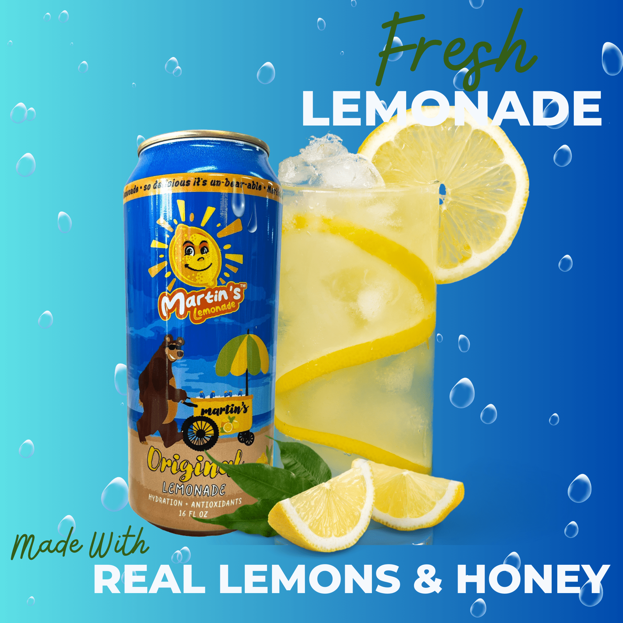 Martin's Original Lemonade, Fresh, Low Sugar, Low-Calorie, Natural Lemonade, Antioxidants, Hydrating, 16 fl oz, 6pk
