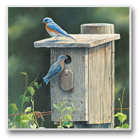 

Absorbent Stone Tumbled Tile Coasters Take Flight 1 Set of 4