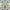 Blue Floral Pattern, variant on Yayeee Kitchen Curtains Set of 2 Light Filtering 57"x24" Over Sink Window Panels, Blue Floral Pattern