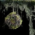 thumbnail image 3 of 5.9 Inch Artificial Moss Topiary Balls, Large Handmade Brownery Balls for Outdoor Decor, Garden, Patio, Wedding Centerpieces, and Indoor Home Party Displays, 3 of 6