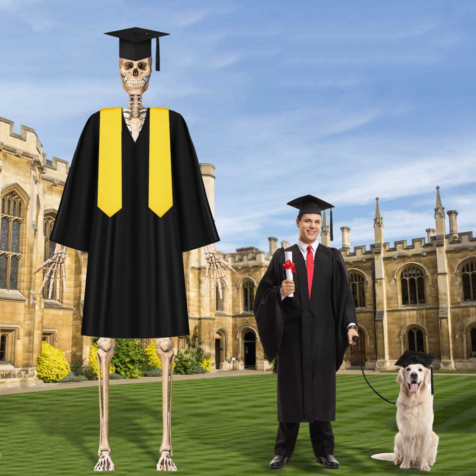 3Pcs Graduation 12ft Skeleton Clothes Accessories Skeleton Graduation Clothing With Hat Shawl Skeleton For 12 Ft Skeleton Dress Graduation Decoration Puppy Party Decorations for Girls Event Horizon