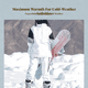 thumbnail image 3 of Abbraccia Traje esquí mujer impermeable invierno, 3 of 6