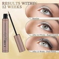 thumbnail image 5 of 3ml Eyelash Growth Serum Eyebrow Nourishing Serum Thickening and Curling Eyelash Growth Serum, 5 of 5