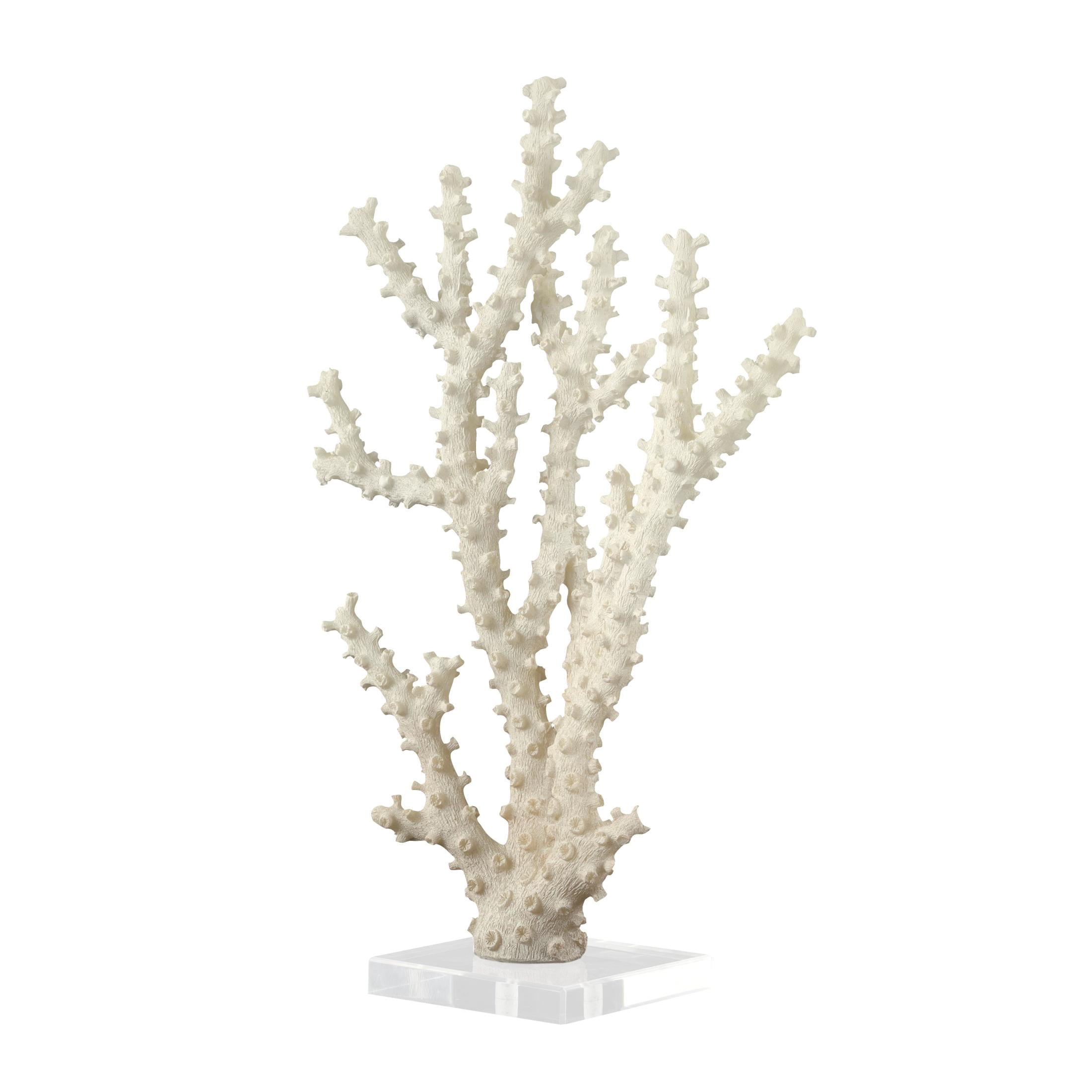9" x 14" Cream Polystone Coral Sculpture with Clear Acrylic Base, by DecMode