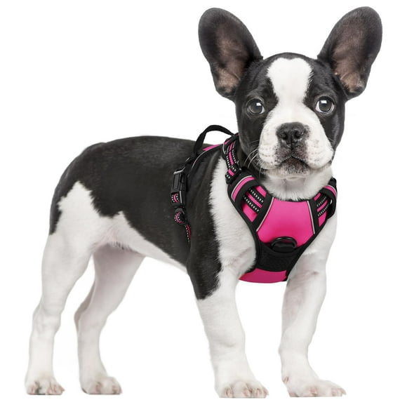 Arnés para perros Rabbitgoo, ajustable, sin tirones, rosa intenso, S