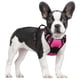 thumbnail image 1 of Arnés para perros Rabbitgoo, ajustable, sin tirones, rosa intenso, S, 1 of 8