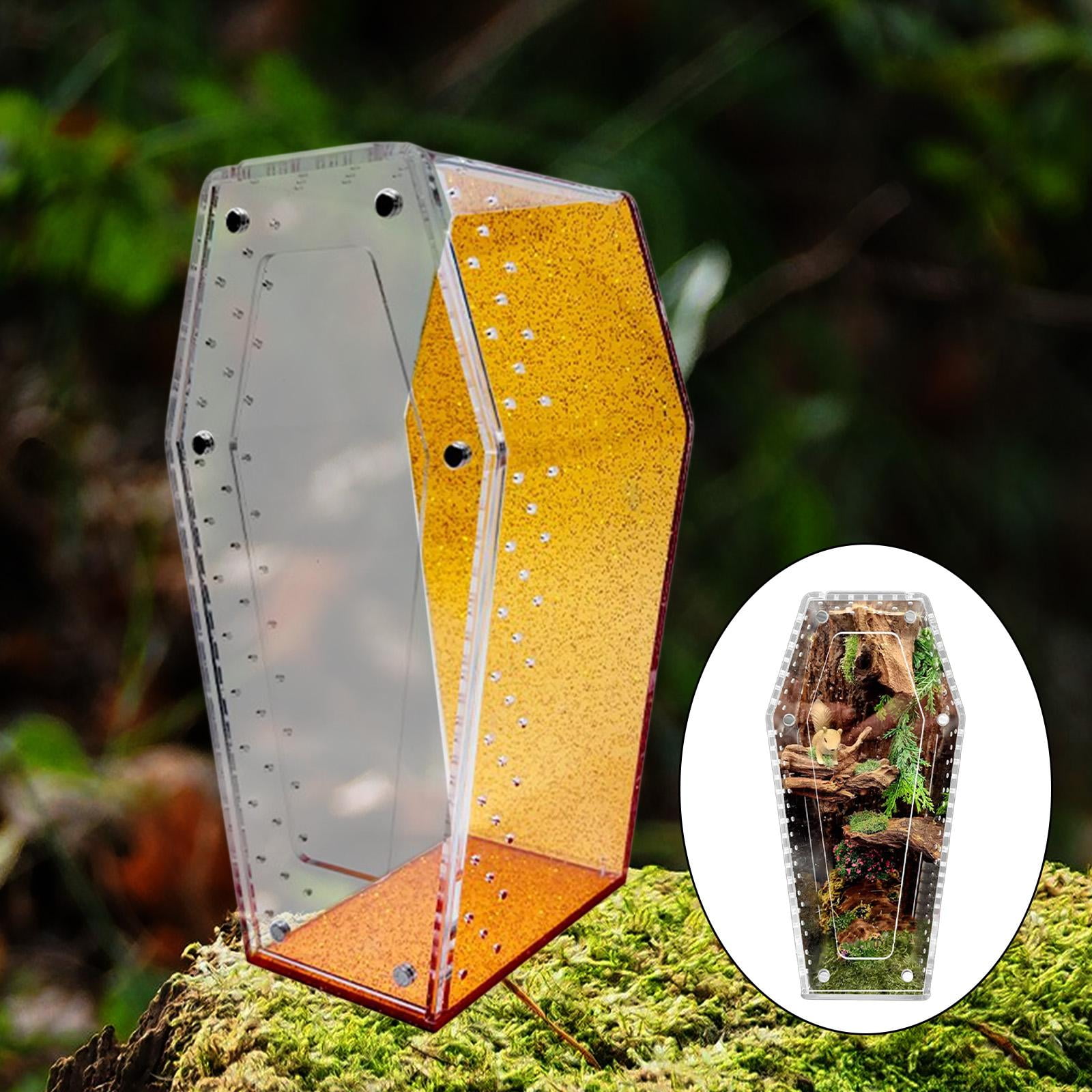Fzaqwen -shaped Acrylic Terrarium for Jumping Spiders, Tarantulas, And Amphibians. Ventilation And Habitat for Amphibians. Ideal for Crabs. Orange