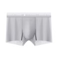 thumbnail image 2 of Aimik Hanes Mens Underwear Boxer Briefs Ice Silk Viscose Comfortable Soft Seamless Trunks Underwear-Gray XXL, 2 of 3