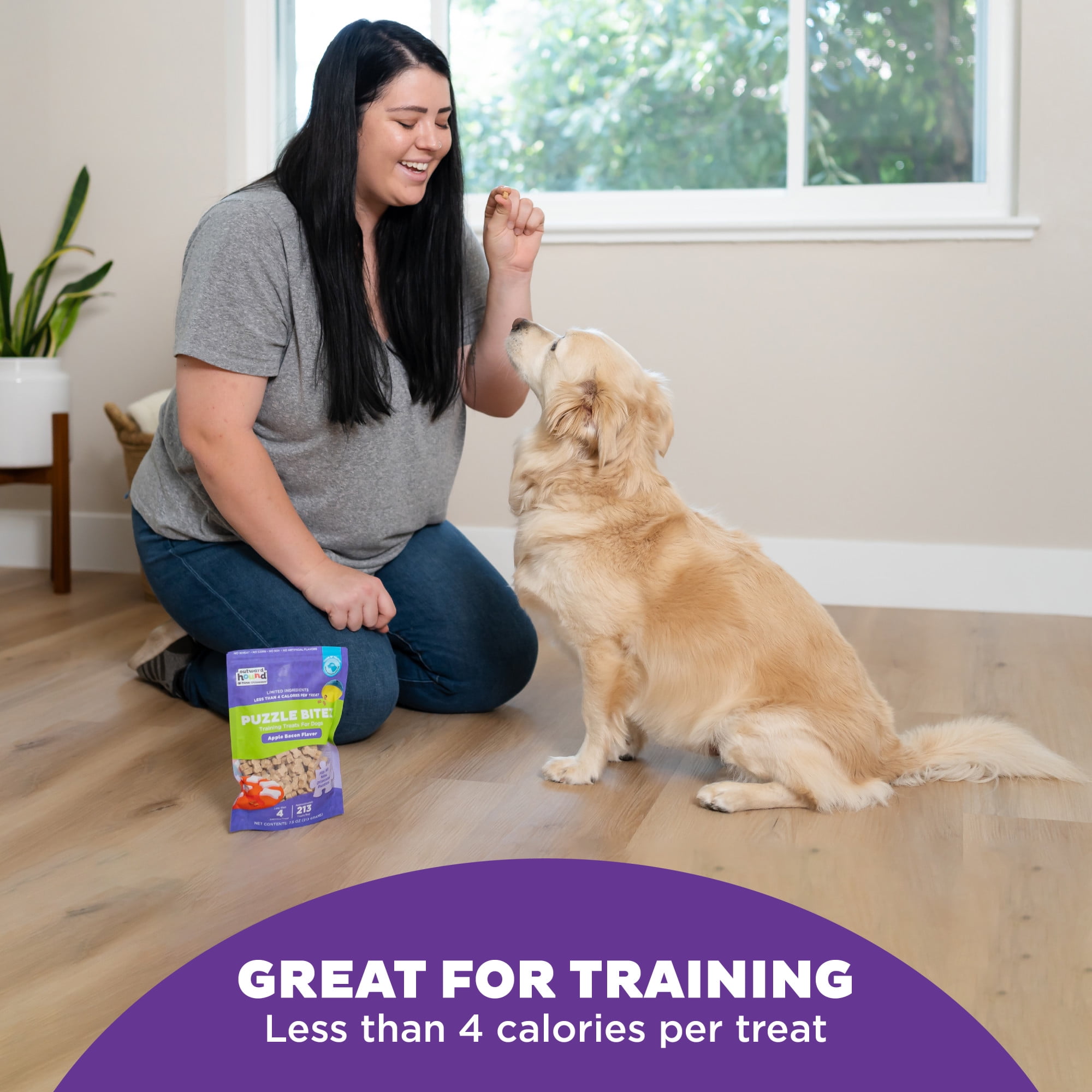 Outward Hound by Nina Ottosson Puzzle Bitez Training Treats for Dogs, Apple Bacon, 6oz