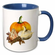 3dRose Colorful Pumpkins, corn and Autumn leaves to celebrate the Fall harvest - Two Tone Blue Mug, 11-ounce