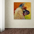 thumbnail image 3 of Trademark Fine Art 'Llama II' Canvas Art by Marion Rose, 3 of 3