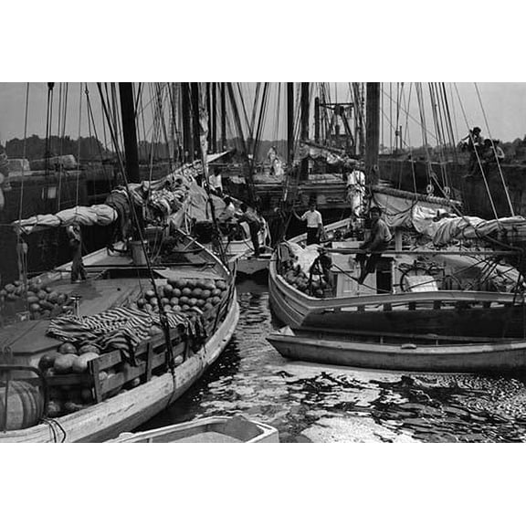 Enola, Dismal Swamp Canal Fine art canvas print (20" x 30")