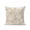 Beige, variant on 1 Pack Outdoor Throw Pillow, Brown Beige Coastal Waterproof Pillow with Insert Included, Nautical Coral Starfish Shell Octopus Sea Decorative Accent Cushion Sofa Pillows for Patio Porch, 16 x 16 In