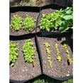 thumbnail image 3 of Cama de jardín elevada ZHAOCHENG de tela bolsas de cultivo de 128 galones 8 rejillas 3x6 pies, 3 of 5