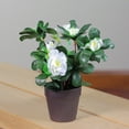 thumbnail image 2 of Northlight 8" Flowering Begonia Bush Artificial Potted Plant - Green/White, 2 of 2