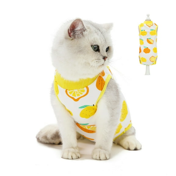 Rarida Cat Surgical Recovery Suit,After Surgery Wear, Pajama Suit,Home Indoor Pets Clothing(Lemon)XL