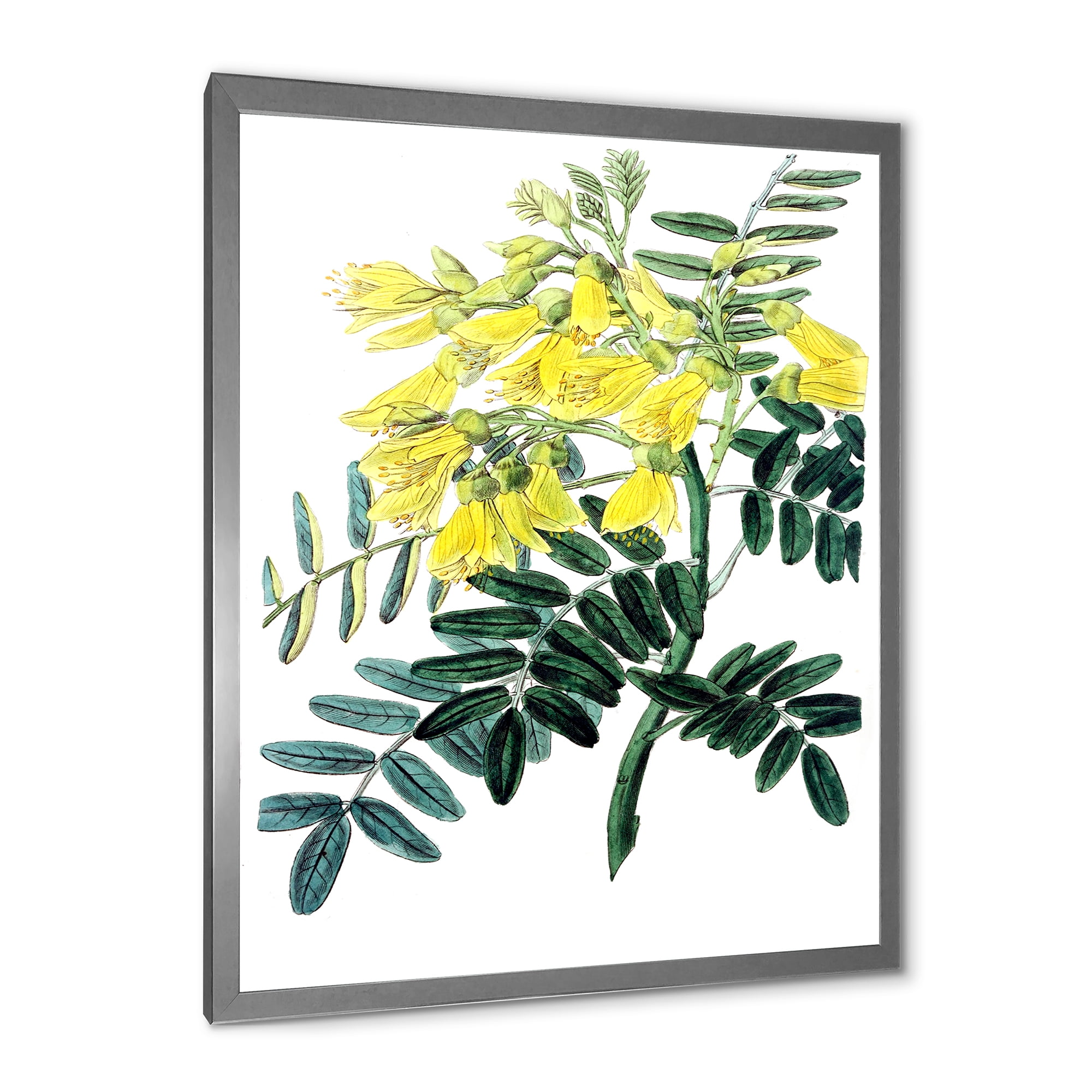 Designart 'Ancient Yellow Flower II' Traditional Framed Art Print