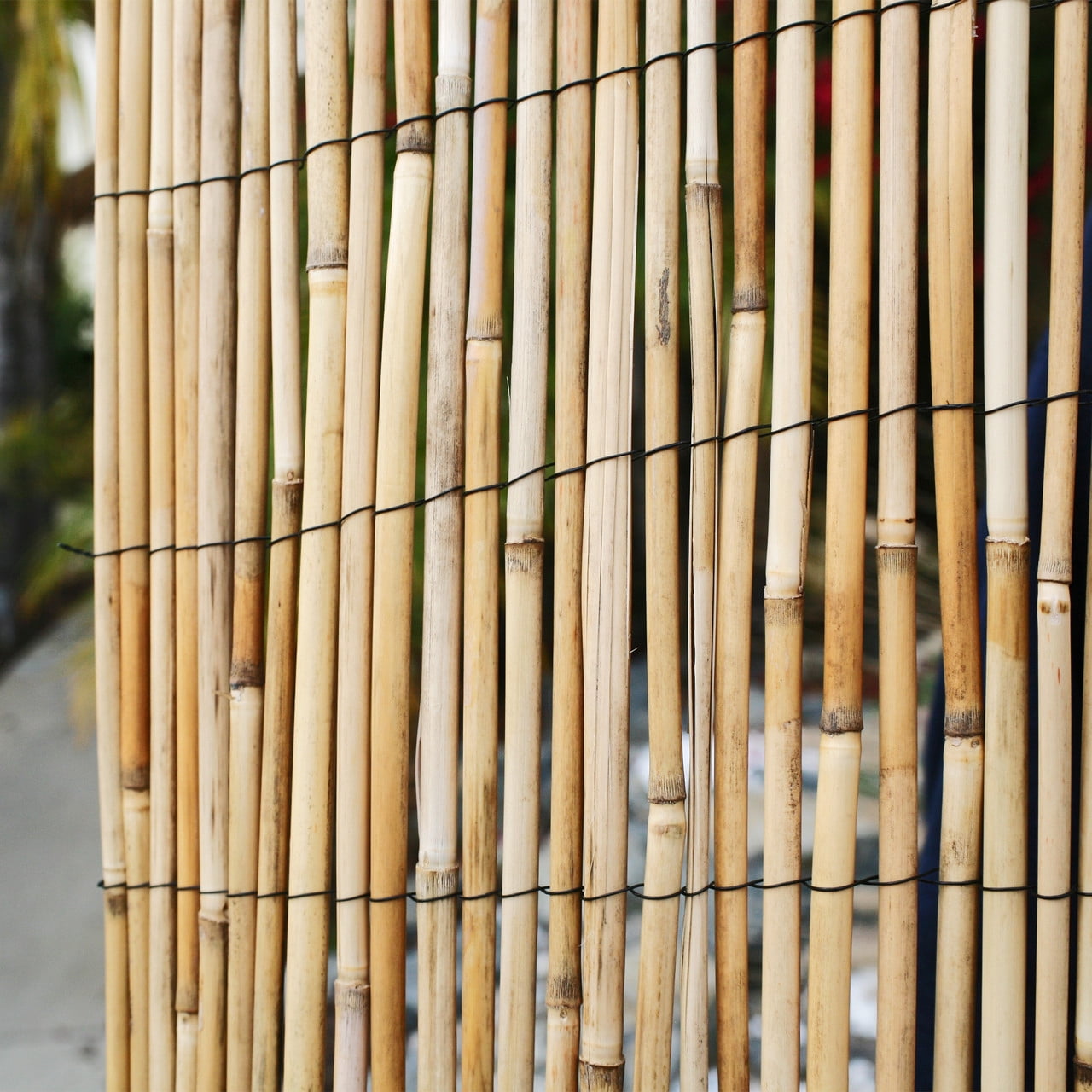 Backyard X-Scapes Jumbo Reed Bamboo Screen Fencing Garden Fence Natural 6 ft H x 16 ft L